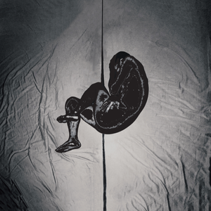 人C交CZZ00XX特级
