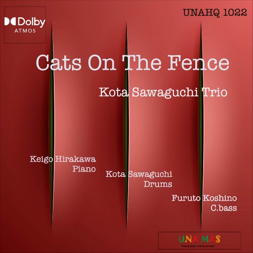 人C交CZZ00XX特级
